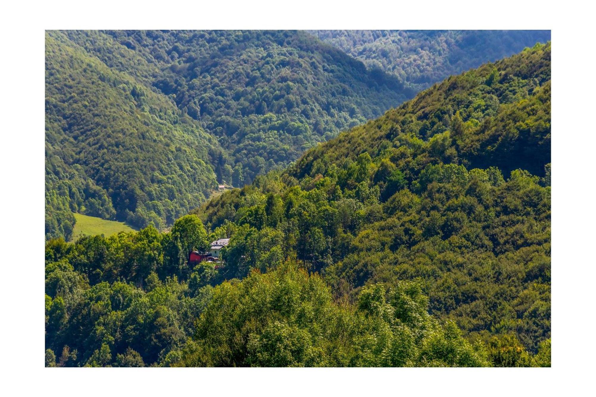 Chalet Bragard Лимоне Пиемонте Екстериор снимка