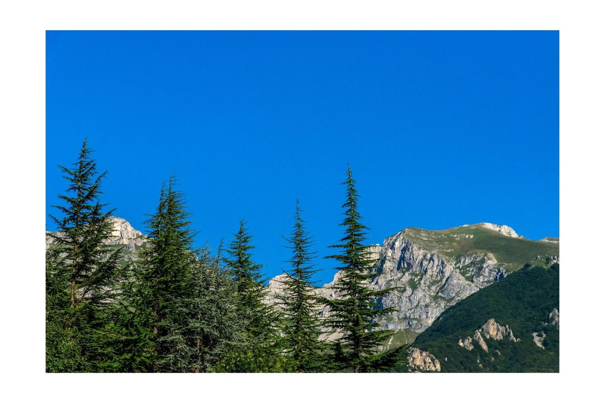 Chalet Bragard Лимоне Пиемонте Екстериор снимка